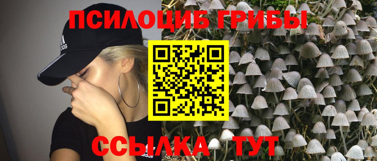 купить закладку  Псилоцибиновые грибы Psilocybine cubensis  Вход с VPN  Псилоцибиновые грибы прущие грибы  Полевской 